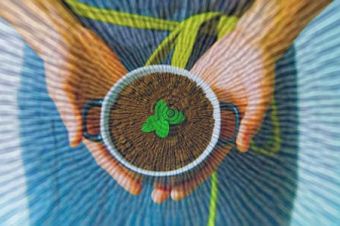 deforestazione zero rapporto confartigianato