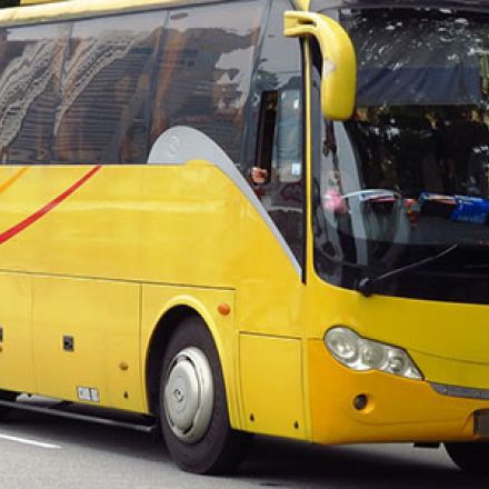 trasporti ue bus
