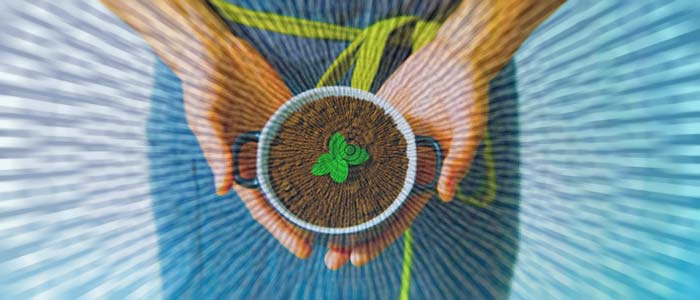 deforestazione zero rapporto confartigianato