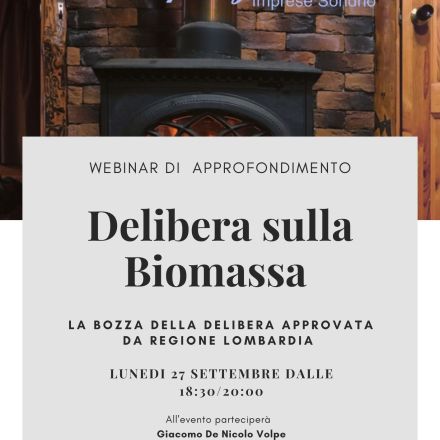 Delibera sulla biomassa, contenuti "provvisori" e modifiche richieste