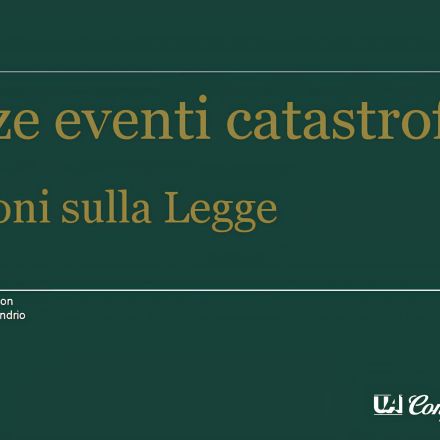 webinar polizze howden