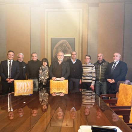 Firma Costituzione