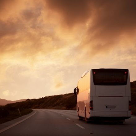bus turistico