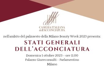 stati generali dell'acconciatura